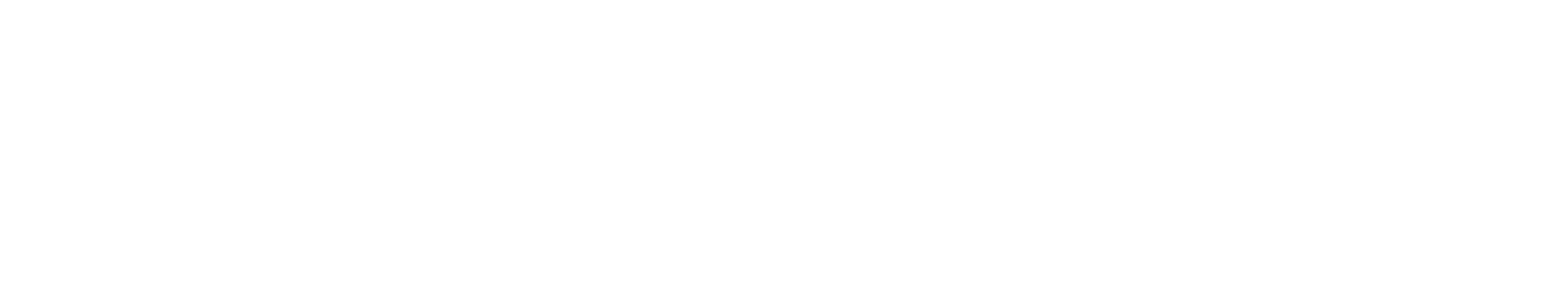 ConnexAI